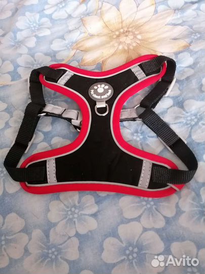 Шлейка для собак