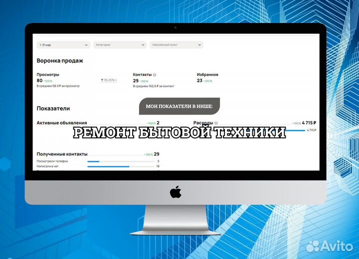 Профессиональный Авитолог. Продвижение на Авито