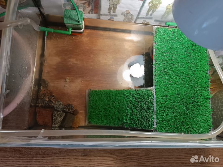 Аквариум для черепахи и черепахи