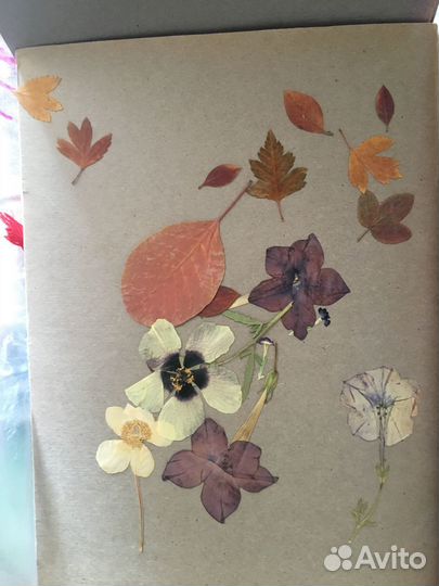 Папка для гербария СССР