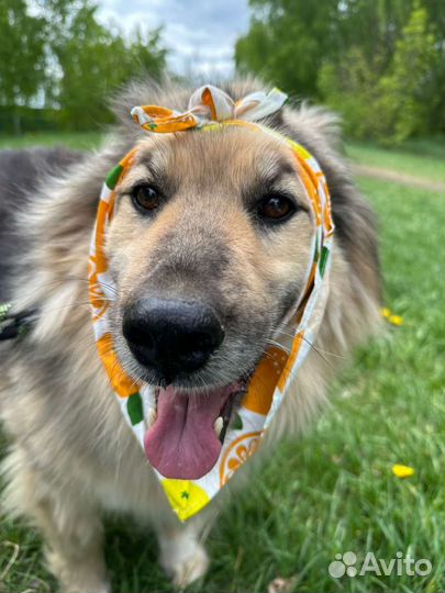 Забери меня