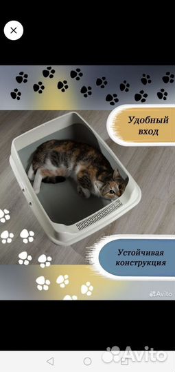 Лоток для кошек