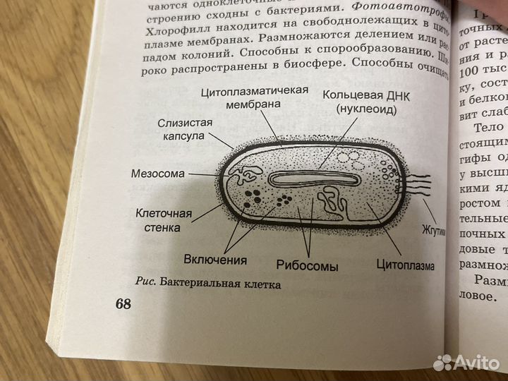 Справочник по биологии огэ