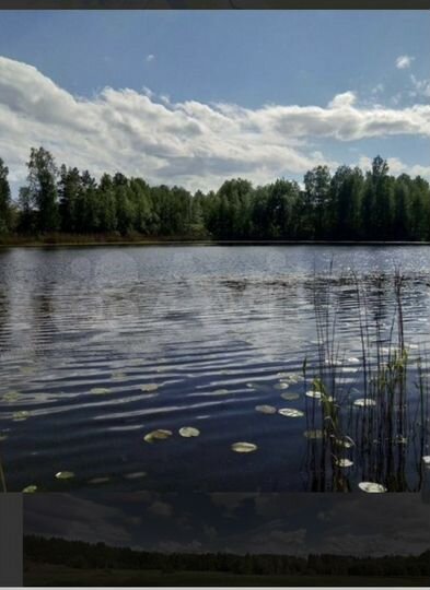 Участок 5,5 га (ИЖС)