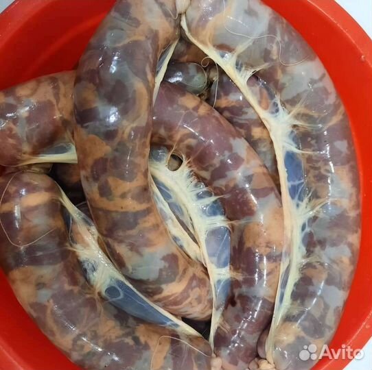 Казы конина гусь утка курица марал индейка