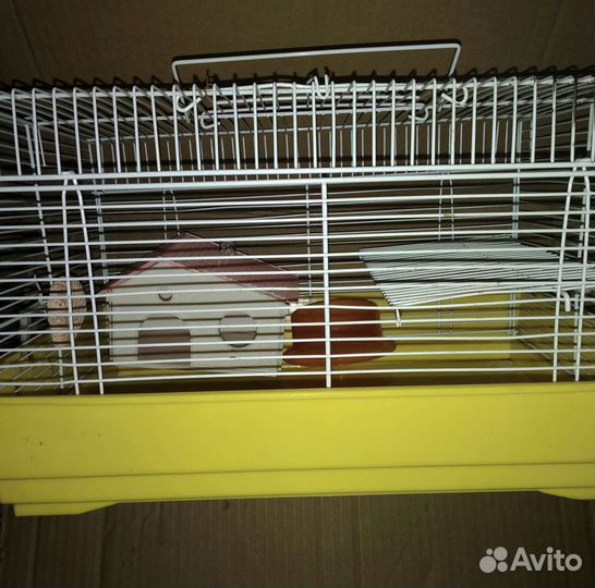 Клетка переноска для мелких грызунов