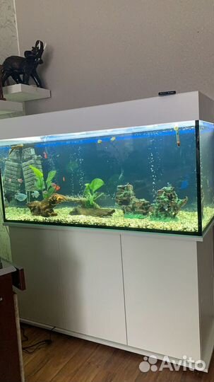 Аквариум