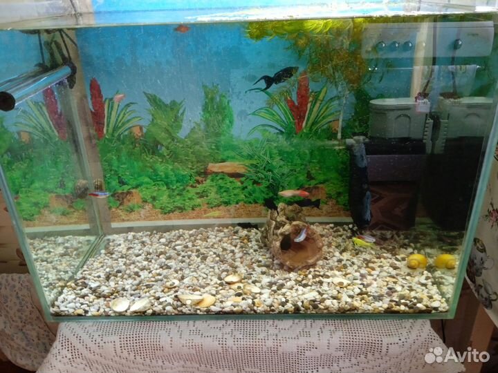 Аквариум с рыбками и принадлежности к нему