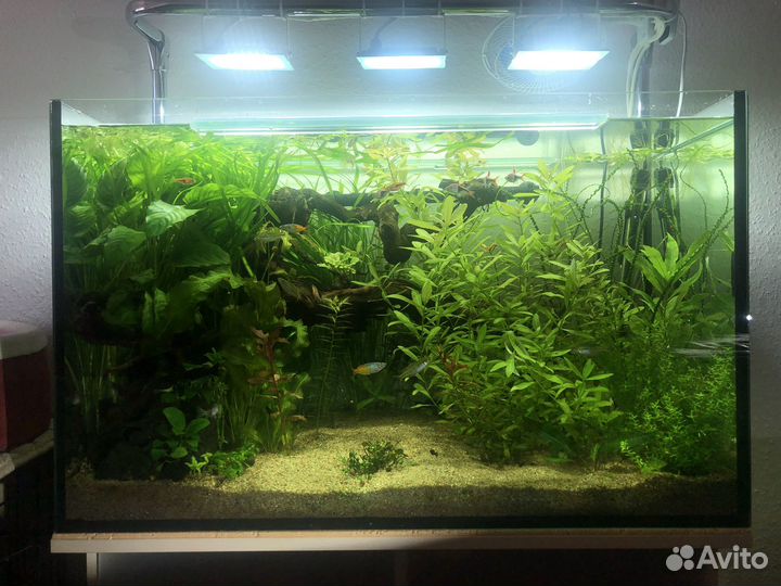 Аквариум с тумбой 160 л (длина 80см)