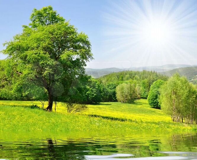 Участок 1,4 га (ИЖС)