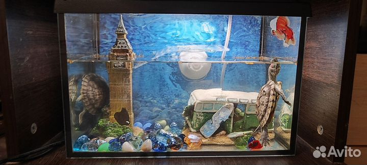 Террариум для красноухой черепахи