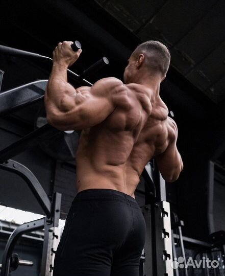 Программа тренировок на набор мышечной массы