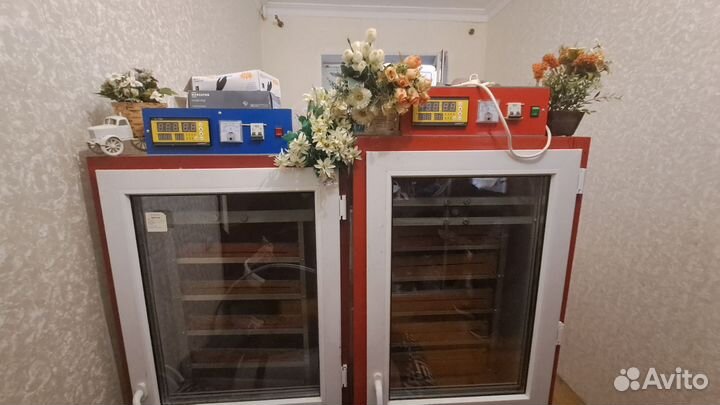 Инкубатор для яиц автоматический бу