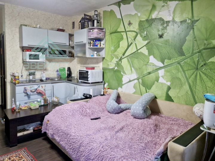 Квартира-студия, 27 м², 2/9 эт.