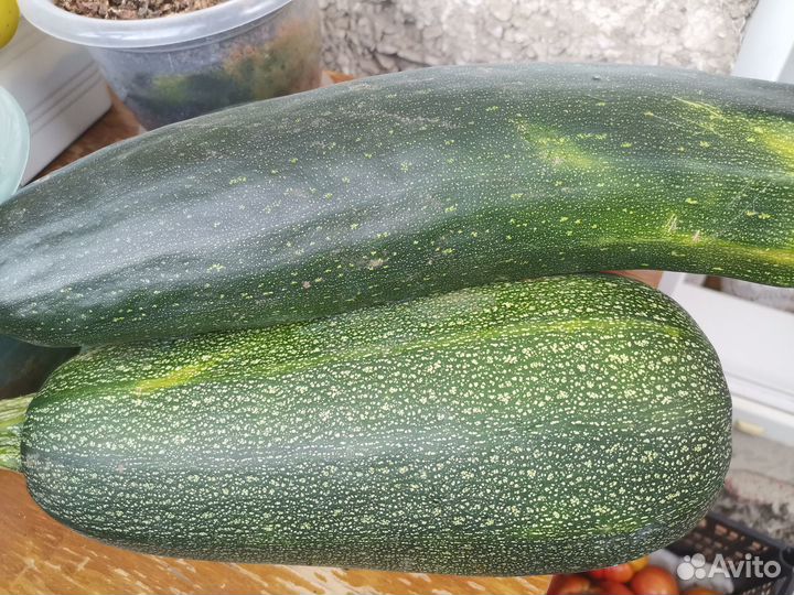 Продам овощи (баклажаны,кабачки)