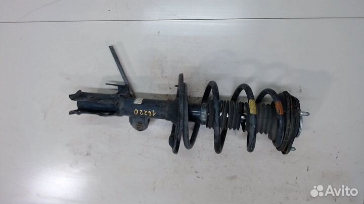 Амортизатор подвески Lexus HS, 2010