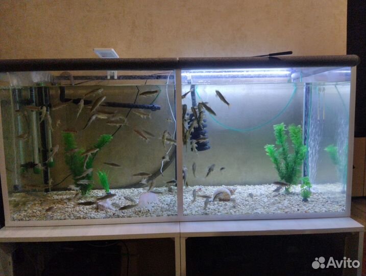Аквариум 120 литров