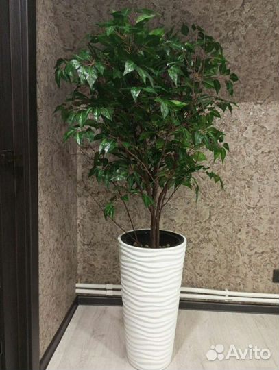 Искусственные деревья и зелень