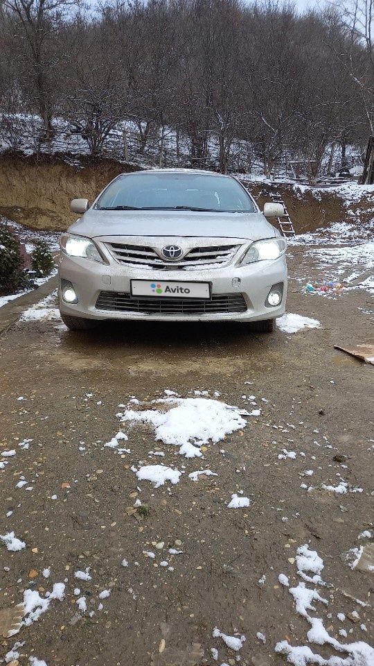Toyota Corolla: фото владельца