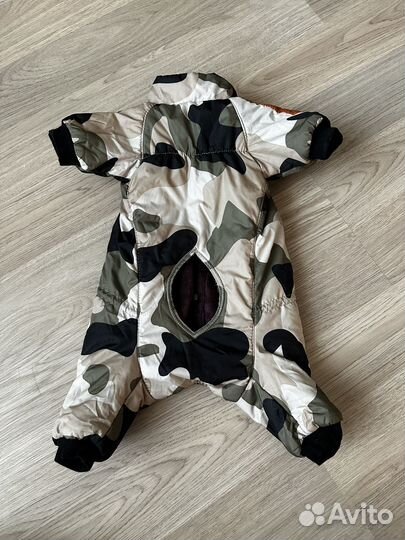 Зимний комбинезон для кроличьей таксы