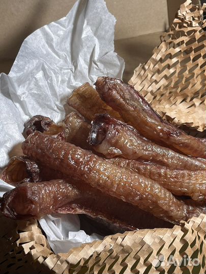 Лакомства для собак