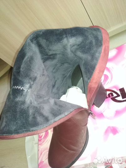 Сапоги женские демисезонные