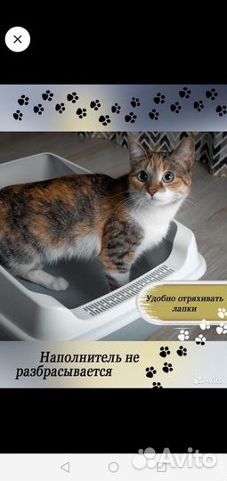 Лоток для кошек