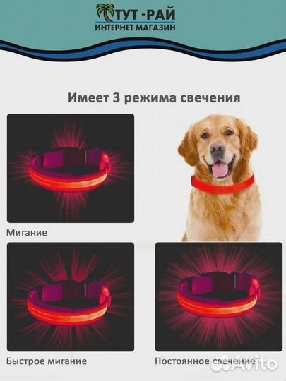 Ошейник светящийся для собак