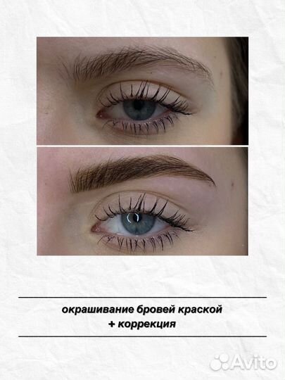 Мастер бровист