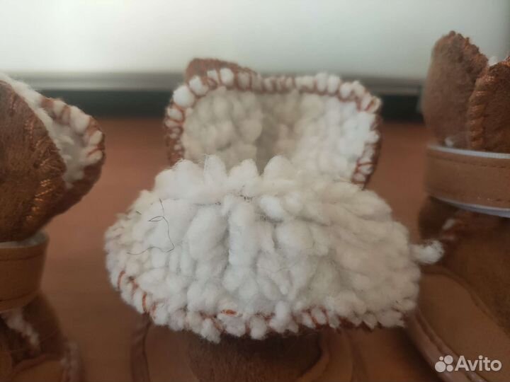 Ботинки для собак