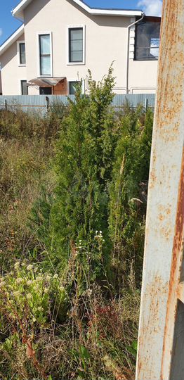 Дом 21 м² на участке 6 сот.