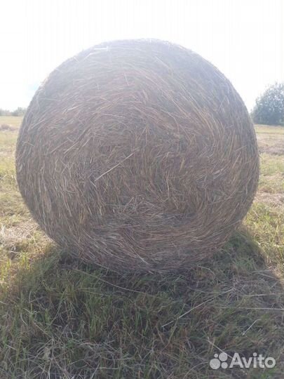 Сено в рулонах 2022