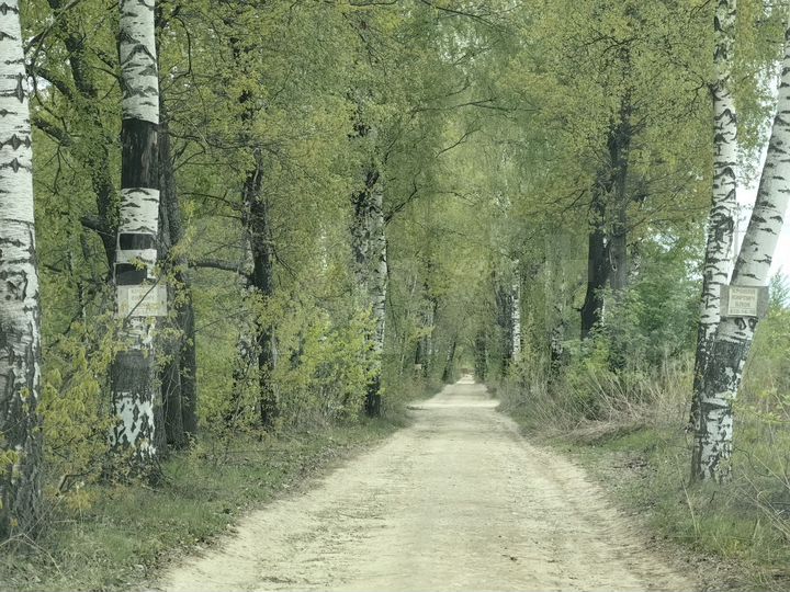 Участок 8 сот. (ИЖС)