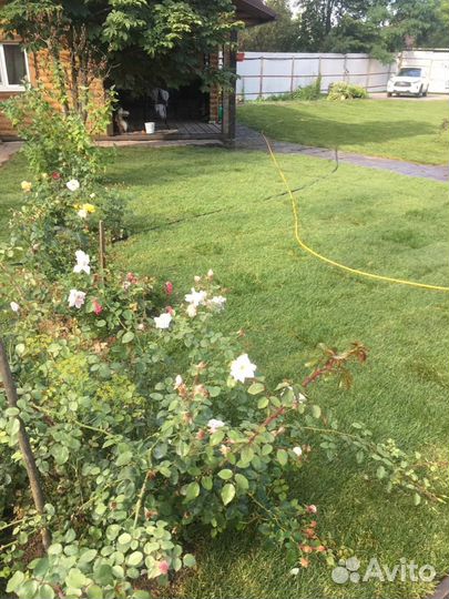 Укладка и продажа газона