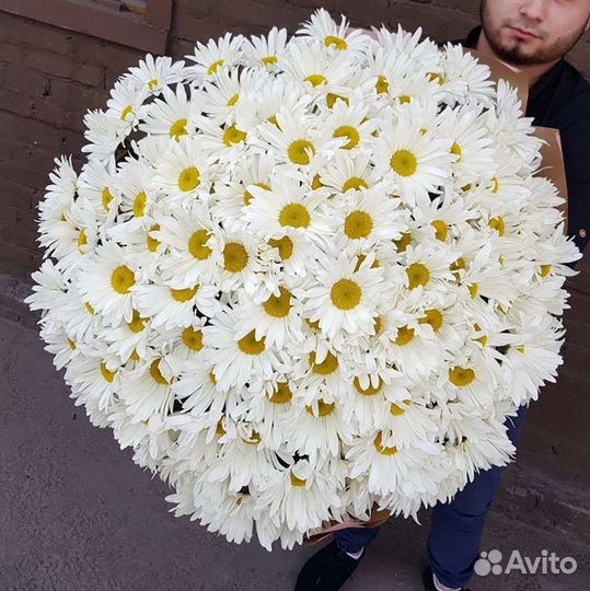 Букеты из ромашек