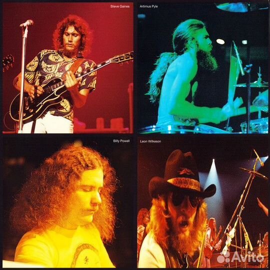 Виниловая пластинка lynyrd skynyrd - ONE more from