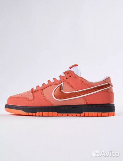 Nike SB Dunk Low SP Orange