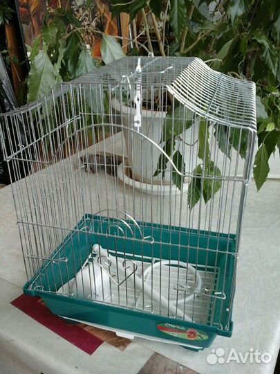 Клетка для кенара
