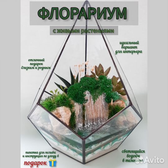 Флорариум с суккулентами Подарок Краснокамск