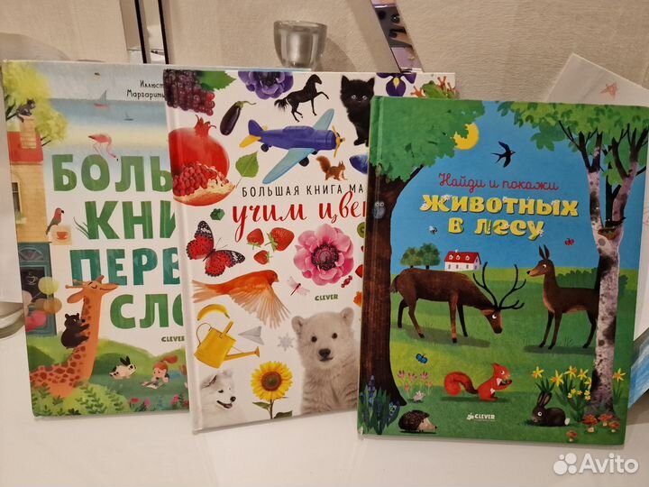 Развивающие книги Clever