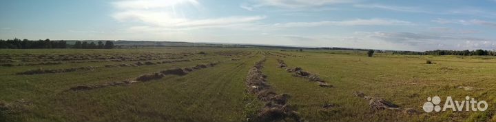 Сено и солома в тюках и рулонах