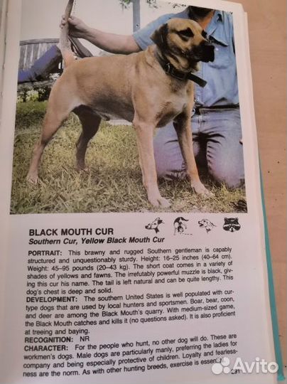 Атлас пород собак