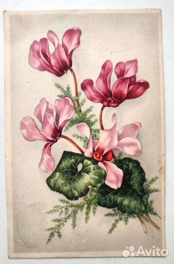 Старинные открытки. Цветы