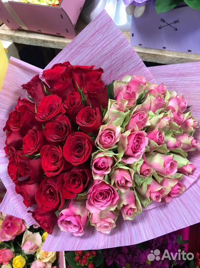 51, 101, 151, 201 Роза, доставка