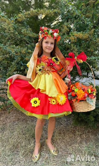 Костюмы Осень,пчелка,жук,звета