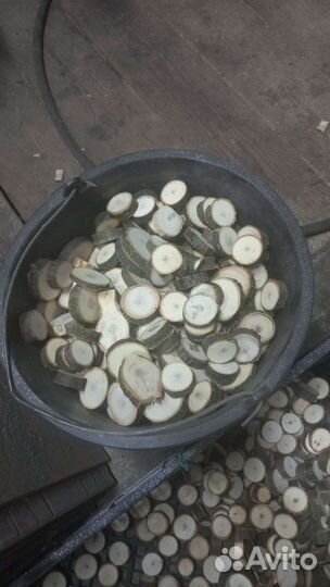 Спилы дерева для декора