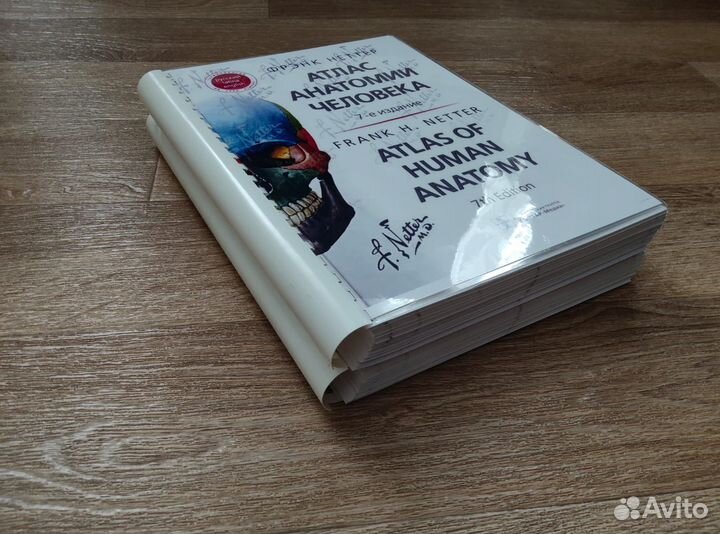 Атлас анатомии человека. Фрэнк Неттер. 7 издание