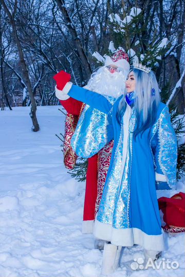 Дед Мороз на дом