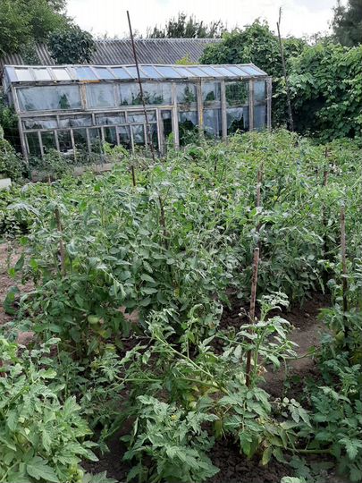 Дом 63 м² на участке 16 сот.