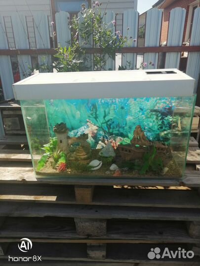 Аквариум